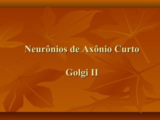Neurônios de Axônio CurtoNeurônios de Axônio Curto
Golgi IIGolgi II
 