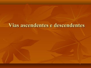 Vias ascendentes e descendentesVias ascendentes e descendentes
 