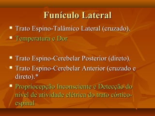 Funículo LateralFunículo Lateral
 Trato Espino-Talâmico Lateral (cruzado).Trato Espino-Talâmico Lateral (cruzado).
 Temperatura e DorTemperatura e Dor
 Trato Espino-Cerebelar Posterior (direto).Trato Espino-Cerebelar Posterior (direto).
 Trato Espino-Cerebelar Anterior (cruzado eTrato Espino-Cerebelar Anterior (cruzado e
direto).*direto).*
 Propriocepção Inconsciente e Detecção doPropriocepção Inconsciente e Detecção do
nível de atividade elétrica do trato córtico-nível de atividade elétrica do trato córtico-
espinalespinal
 