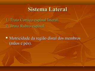 Sistema LateralSistema Lateral
1. Trato Cortico-espinal lateral.1. Trato Cortico-espinal lateral.
2. Trato Rubro-espinal.2. Trato Rubro-espinal.
 Motricidade da região distal dos membrosMotricidade da região distal dos membros
(mãos e pés).(mãos e pés).
 
