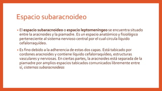 Espacio subaracnoideo
• El espacio subaracnoideo o espacio leptomeníngeo se encuentra situado
entre la aracnoides y la piamadre. Es un espacio anatómico y fisiológico
perteneciente al sistema nervioso central por el cual circula líquido
cefalorraquídeo.
• Es fino debido a la adherencia de estas dos capas. Está tabicado por
cordones aracnoides y contiene líquido cefalorraquídeo, estructuras
vasculares y nerviosas. En ciertas partes, la aracnoides está separada de la
piamadre por amplios espacios tabicados comunicados libremente entre
sí, cisternas subaracnoideas
 
