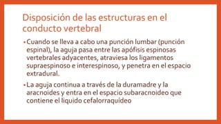 Disposición de las estructuras en el
conducto vertebral
•Cuando se lleva a cabo una punción lumbar (punción
espinal), la aguja pasa entre las apófisis espinosas
vertebrales adyacentes, atraviesa los ligamentos
supraespinoso e interespinoso, y penetra en el espacio
extradural.
•La aguja continua a través de la duramadre y la
aracnoides y entra en el espacio subaracnoideo que
contiene el liquido cefalorraquídeo
 