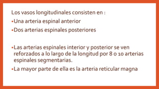 Los vasos longitudinales consisten en :
•Una arteria espinal anterior
•Dos arterias espinales posteriores
•Las arterias espinales interior y posterior se ven
reforzados a lo largo de la longitud por 8 o 10 arterias
espinales segmentarias.
•La mayor parte de ella es la arteria reticular magna
 