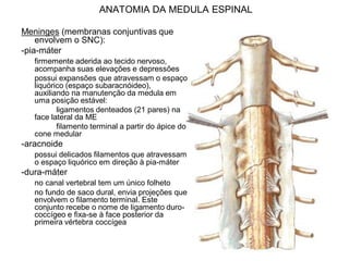 ANATOMIA DA MEDULA ESPINAL
Meninges (membranas conjuntivas que
envolvem o SNC):
-pia-máter
firmemente aderida ao tecido nervoso,
acompanha suas elevações e depressões
possui expansões que atravessam o espaço
liquórico (espaço subaracnóideo),
auxiliando na manutenção da medula em
uma posição estável:
ligamentos denteados (21 pares) na
face lateral da ME
filamento terminal a partir do ápice do
cone medular
-aracnoide
possui delicados filamentos que atravessam
o espaço liquórico em direção à pia-máter
-dura-máter
no canal vertebral tem um único folheto
no fundo de saco dural, envia projeções que
envolvem o filamento terminal. Este
conjunto recebe o nome de ligamento duro-
coccígeo e fixa-se à face posterior da
primeira vértebra coccígea
 