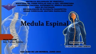 Medula Espinal
FACILITADOR:
Dra. Fatima Ramirez
SAN JUAN DE LOS MORROS, JUNIO 2023
REPÚBLICA BOLIVARIANA DE VENEZUELA
MINISTERIO DEL PODER POPULAR PARA LA EDU. UNIVERSITARIA
UNIVERSIDAD NACIONAL EXPERIMENTAL RÓMULO GALLEGOS
ÁREA DE POSTGRADO
ESPECIALIZACIÓN EN ECOGRAFÍA DIAGNÓSTICA
UNIDAD CURRICULAR: ANATOMIA RADIOLOGICA
 