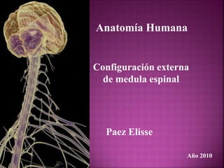 Anatomía Humana
Configuración externa
de medula espinal
Paez Elisse
Año 2010
 