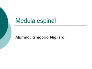 Medula espinal Alumno: Gregorio Migliaro 