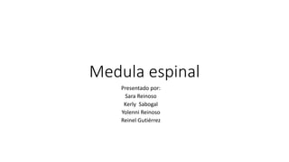 Medula espinal
Presentado por:
Sara Reinoso
Kerly Sabogal
Yolenni Reinoso
Reinel Gutiérrez
 