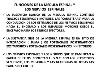 FUNCIONES DE LA MEDULA ESPINAL Y
LOS NERVIOS ESPINALES
 LA SUSTANCIA BLANCA DE LA MEDULA ESPINAL CONTIENE
TRACTOS SENSITIVOS Y MOTORES, LAS “CARRETERAS” PARA LA
CONDUCCION DE LOS ESTIMULOS DE LOS NERVIOS SENSITIVOS
HACIA EL ENCEFALO Y LOS IMPULSOS MOTORES DESDE EL
ENCEFALO HASTA LOS TEJIDOS EFECTORES.
 LA SUSTANCIA GRIS DE LA MEDULA ESPINAL ES UN SITIO DE
INTEGRACION ( SUMA ) DE POTENCIALES POSTSINAPTICOS
EXCITATORIOS Y POTENCIALES POSTSINAPTICOS INHIBITORIOS.
 LOS NERVIOS ESPINALES Y LOS NERVIOS QUE SE RAMIFICAN A
PARTIR DE ELLOS, CONECTAN EL S.N.C. CON LOS RECEPTORES
SENSITIVOS, LOS MUSCULOS Y LAS GLANDULAS DE TODAS LAS
PARTES DEL CUERPO.
 
