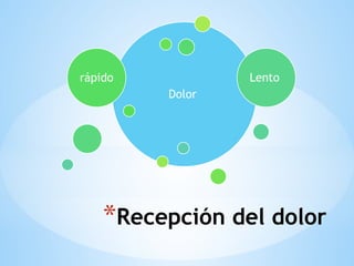 *Recepción del dolor
Dolor
rápido Lento
 