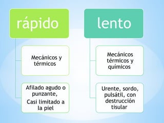 rápido
Mecánicos y
térmicos
Afilado agudo o
punzante,
Casi limitado a
la piel
lento
Mecánicos
térmicos y
químicos
Urente, sordo,
pulsátil, con
destrucción
tisular
 