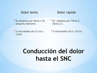 Conducción del dolor
hasta el SNC
Dolor lento
*Se desplaza por fibras c de
pequeño diámetro.
*A velocidades de 0,5 ms y
2,0ms
Dolor rápido
*Se desplaza por fibras A
Delta y C.
*A velocidades de 6 y 30 ms
 