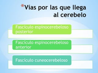 *Vías por las que llega
al cerebelo
Fascículo espinocerebeloso
posterior
Fascículo espinocerebeloso
anterior
Fascículo cuneocerebeloso
 