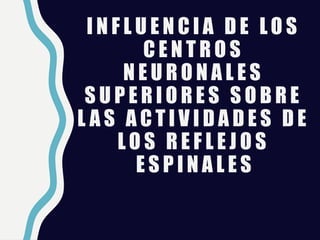 I N F L U E N C I A D E LO S
C E N T R O S
N E U R O N A L E S
S U P E R I O R E S S O B R E
L A S A C T I V I D A D E S D E
LO S R E F L E J O S
E S P I N A L E S
 