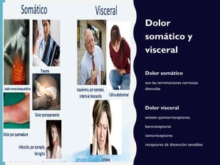 Dolor
somático y
visceral
Dolor somático
son las terminaciones nerviosas
desnudas
Dolor visceral
existen quimiorreceptores,
baroreceptores
osmoreceptores
receptores de distención sensibles
 