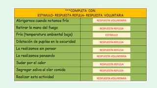 ESTÍMULO
RESPUESTA REFLEJA
RESPUESTA VOLUNTARIA
RESPUESTA VOLUNTARIA
RESPUESTA REFLEJA
RESPUESTA REFLEJA
RESPUESTA REFLEJA
RESPUESTA REFLEJA
RESPUESTA VOLUNTARIA
 