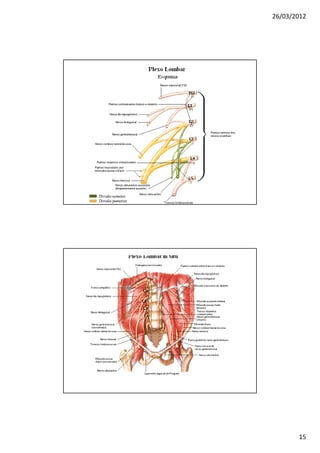 26/03/2012




       15
 