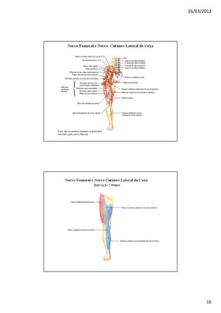 26/03/2012




       16
 