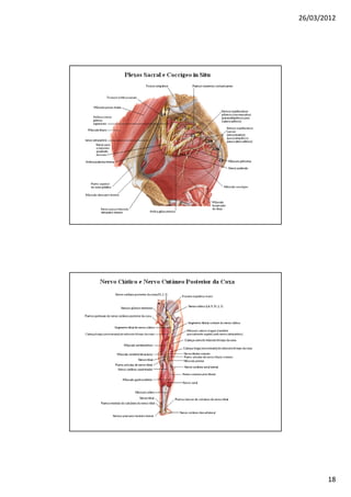 26/03/2012




       18
 