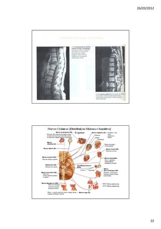 26/03/2012




TUMORES NO CANAL VERTEBRAL




                                    22
 