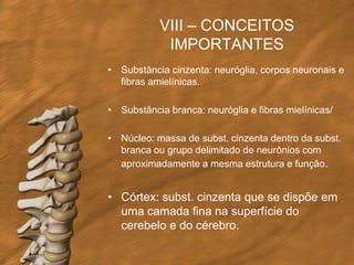 VIII – CONCEITOS
            IMPORTANTES
• Substância cinzenta: neuróglia, corpos neuronais e
  fibras amielínicas.

• Substância branca: neuróglia e fibras mielínicas/

• Núcleo: massa de subst. cinzenta dentro da subst.
  branca ou grupo delimitado de neurônios com
  aproximadamente a mesma estrutura e função.


• Córtex: subst. cinzenta que se dispõe em
  uma camada fina na superfície do
  cerebelo e do cérebro.
 