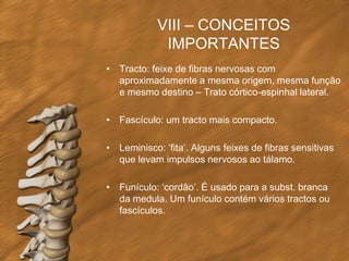 VIII – CONCEITOS
             IMPORTANTES
• Tracto: feixe de fibras nervosas com
  aproximadamente a mesma origem, mesma função
  e mesmo destino – Trato córtico-espinhal lateral.

• Fascículo: um tracto mais compacto.

• Leminisco: „fita‟. Alguns feixes de fibras sensitivas
  que levam impulsos nervosos ao tálamo.

• Funículo: „cordão‟. É usado para a subst. branca
  da medula. Um funículo contém vários tractos ou
  fascículos.
 