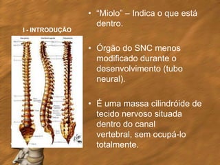 • “Miolo” – Indica o que está
                   dentro.
I - INTRODUÇÃO


                 • Órgão do SNC menos
                   modificado durante o
                   desenvolvimento (tubo
                   neural).

                 • É uma massa cilindróide de
                   tecido nervoso situada
                   dentro do canal
                   vertebral, sem ocupá-lo
                   totalmente.
 