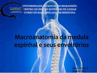 Macroanatomia da medula 
espinhal e seus envoltórios 
Bento Berilo II 
Renata Silva 
 