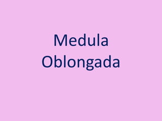 Medula
Oblongada
 