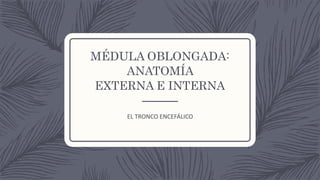 MÉDULA OBLONGADA:
ANATOMÍA
EXTERNA E INTERNA
EL TRONCO ENCEFÁLICO
 