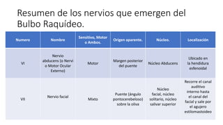 Resumen de los nervios que emergen del
Bulbo Raquídeo.
Numero Nombre
Sensitivo, Motor
o Ambos.
Origen aparente. Núcleo. Localización
VI
Nervio
abducens (o Nervi
o Motor Ocular
Externo)
Motor
Margen posterior
del puente
Núcleo Abducens
Ubicado en
la hendidura
esfenoidal
VII
Nervio facial
Mixto
Puente (ángulo
pontocerebeloso)
sobre la oliva
Núcleo
facial, núcleo
solitario, núcleo
salivar superior
Recorre el canal
auditivo
interno hasta
el canal del
facial y sale por
el agujero
estilomastoideo
 