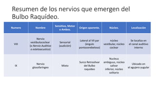 Resumen de los nervios que emergen del
Bulbo Raquídeo.
Numero Nombre
Sensitivo, Motor
o Ambos.
Origen aparente. Núcleo. Localización
VIII
Nervio
vestibulococlear
(o Nervio Auditivo
o estetoacustico)
Sensorial
(audición)
Lateral al VII par
(ángulo
pontocerebeloso)
núcleo
vestibular, núcleo
coclear
Se localiza en
el canal auditivo
interno
IX
Nervio
glosofaríngeo
Mixto
Surco Retroolivar
del Bulbo
raquídeo
Nucleus
ambiguus, núcleo
salivar
inferior, núcleo
solitario
Ubicado en
el agujero yugular
 