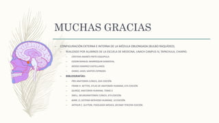 MUCHAS GRACIAS
– CONFIGURACIÓN EXTERNA E INTERNA DE LA MÉDULA OBLONGADA (BULBO RAQUÍDEO).
– REALIZADO POR ALUMNOS DE LA ESCUELA DE MEDICINA, UNACH CAMPUS IV, TAPACHULA, CHIAPAS:
– CRISTIAN ANDRÉS PINTO ESQUIPULA.
– EDSON MANUEL MARROQUIN SANDOVAL.
– MOISES RAMIREZ CASTELLANOS.
– HANIEL JASIEL SANTOS ESPINOZA.
– BIBLIOGRAFÍAS:
– PRO ANATOMÍA CLÍNICA, 2DA EDICIÓN.
– FRANK H. NETTER, ATLAS DE ANATOMÍA HUMANA, 6TA EDICIÓN.
– QUIROZ, ANATOMÍA HUMANA, TOMO II.
– SNELL, NEUROANATOMÍA CLÍNICA, 6TA EDICIÓN.
– BARR, EL SISTEMA NERVIOSO HUMANO, 10 EDICIÓN.
– ARTHUR C. GUYTON, FISIOLOGÍA MÉDICA, DECIMO TERCERA EDICIÓN.
 