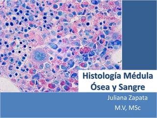 Juliana Zapata
M.V, MSc
Histología Médula
Ósea y Sangre
 