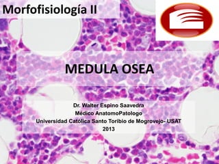 Morfofisiología II

MEDULA OSEA
Dr. Walter Espino Saavedra
Médico AnatomoPatologo
Universidad Católica Santo Toribio de Mogrovejo- USAT
2013

 