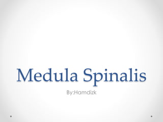 Medula Spinalis
By:Hamdizk
 