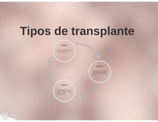 Desmistificando a Doação e o Transplante de Medula Óssea