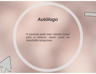 Desmistificando a Doação e o Transplante de Medula Óssea