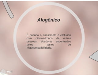 Desmistificando a Doação e o Transplante de Medula Óssea
