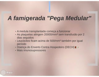 Desmistificando a Doação e o Transplante de Medula Óssea