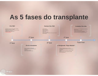 Desmistificando a Doação e o Transplante de Medula Óssea