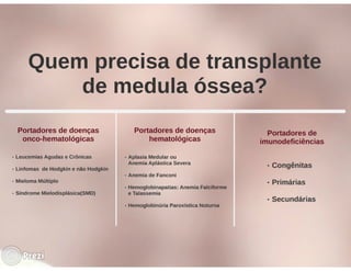 Desmistificando a Doação e o Transplante de Medula Óssea