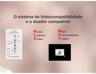 Desmistificando a Doação e o Transplante de Medula Óssea