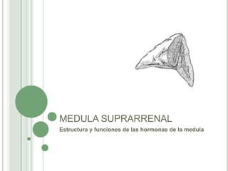 MEDULA SUPRARRENAL
Estructura y funciones de las hormonas de la medula
 
