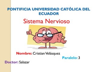 Sistema Nervioso
Nombre: CristianVelásquez
Paralelo: 3
Doctor: Salazar
 