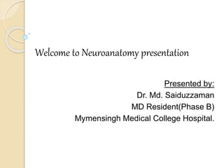 Welcome to Neuroanatomy presentation
Presented by:
Dr. Md. Saiduzzaman
MD Resident(Phase B)
Mymensingh Medical College Hospital.
 