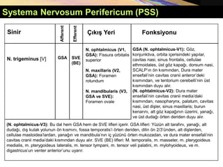 Systema Nervosum Perifericum (PSS)
Afferent
Sinir Fonksiyonu
Çıkış Yeri
GSA
N. trigeminus [V]
Efferent
SVE
(BE)
N. ophtalmicus (V1,
GSA): Fissura orbitalis
superior
N. maxillaris (V2,
GSA): Foramen
rotundum
N. mandibularis (V3,
GSA ve SVE):
Foramen ovale
GSA (N. ophtalmicus-V1): Göz,
konjunktiva, orbita içerisindeki yapılar,
cavitas nasi, sinus frontalis, cellulae
ethmoidales, üst göz kapağı, dorsum nasi,
SCALP’ın ön kısmından, Dura mater
ensefali’nin cavitas cranii anteror’deki
kısmından, ve tentorium cerebelli’nin üst
kısmından duyu alır.
(N. ophtalmicus-V2): Dura mater
ensefali’nin cavitas cranii media’daki
kısmından, nasopharynx, palatum, cavitas
nasi, üst dişler, sinus maxillaris; burun
kenarını, alt göz kapağının üzerini, yanağı,
ve üst dudağı örten deriden duyu alır.
(N. ophtalmicus-V3): Bu dal hem GSA hem de SVE lifleri içerir. GSA lifleri: Yüzün alt tarafını, yanağı, alt
dudağı, dış kulak yolunun ön kısmını, fossa temporalis’i örten deriden, dilin ön 2/3’ünden, alt dişlerden,
cellulae mastoidea’lardan, yanağın ve mandibula’nın iç yüzünü örten mukozadan, ve dura mater ensefali’nin
cavitas cranii media’daki kısmından duyu alır. SVE (BE) lifleri: M. temporalis, m. masseter, m. pterygoideus
medialis, m. pterygoideus lateralis, m. tensor tympani, m. tensor veli palatini, m. mylohyoideus, ve m.
digastricus’un venter anterior’unu uyarır.
 