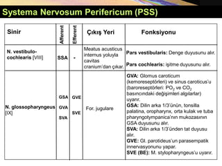 Systema Nervosum Perifericum (PSS)
Afferent
Sinir Fonksiyonu
Çıkış Yeri
SSA
N. vestibulo-
cochlearis [VIII]
Efferent
-
Meatus acusticus
internus yoluyla
cavitas
cranium’dan çıkar.
Pars vestibularis: Denge duyusunu alır.
Pars cochlearis: işitme duyusunu alır.
GVE
SVE
N. glossopharyngeus
[IX]
For. jugulare
GVA: Glomus caroticum
(kemoreseptörleri) ve sinus caroticus’u
(baroreseptörleri: PO2 ve CO2
basıncındaki değişimleri algılarlar)
uyarır.
GSA: Dilin arka 1/3’ünün, tonsilla
palatina, oropharynx, orta kulak ve tuba
pharyngotympanica’nın mukozasının
GSA duyusunu alır.
SVA: Dilin arka 1/3’ünden tat duyusu
alır.
GVE: Gl. parotideus’un parasempatik
innervasyonunu yapar.
SVE (BE): M. stylopharyngeus’u uyarır.
GSA
GVA
SVA
 