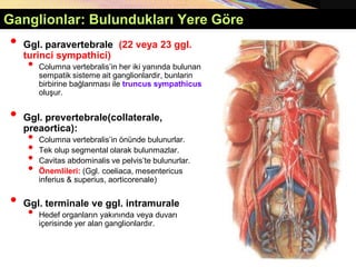 Copyright © 2005 Pearson Education, Inc., publishing as Benjamin Cummings
Ganglionlar: Bulundukları Yere Göre
• Ggl. paravertebrale (22 veya 23 ggl.
turinci sympathici)
• Columna vertebralis’in her iki yanında bulunan
sempatik sisteme ait ganglionlardir, bunlarin
birbirine bağlanması ile truncus sympathicus
oluşur.
• Ggl. prevertebrale(collaterale,
preaortica):
• Columna vertebralis’in önünde bulunurlar.
• Tek olup segmental olarak bulunmazlar.
• Cavitas abdominalis ve pelvis’te bulunurlar.
• Önemlileri: (Ggl. coeliaca, mesentericus
inferius & superius, aorticorenale)
• Ggl. terminale ve ggl. intramurale
• Hedef organların yakınında veya duvarı
içerisinde yer alan ganglionlardır.
 