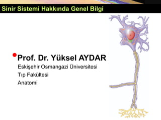 Sinir Sistemi Hakkında Genel Bilgi
•Prof. Dr. Yüksel AYDAR
Eskişehir Osmangazi Üniversitesi
Tıp Fakültesi
Anatomi
 